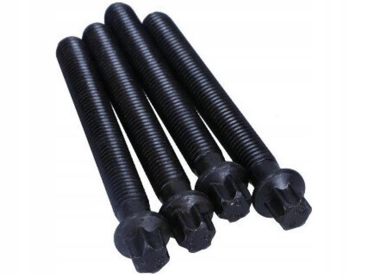 фото №1, Набор винт, колесо ременное - wał коленчатый corteco 800