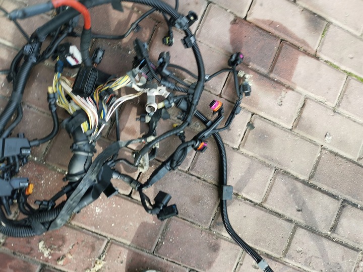 фото №11, Установка двигуна джгут електричний b47c20b bmw x1 f40 f48 f39 x2 2.0 d