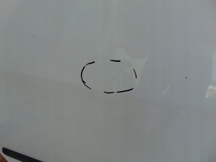 фото №6, Дверь левая перед vw caddy iii рестайлинг 2010-2015 белый lb9a