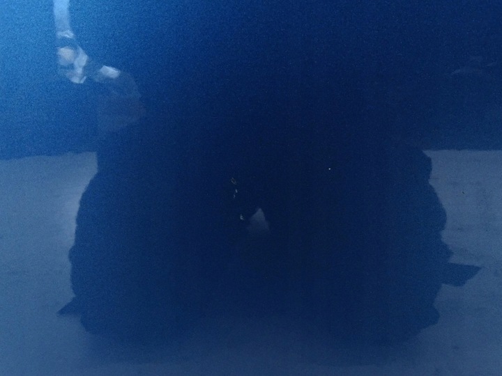 фото №7, Двері праві правий зад vw golf vii 7 mk7 5d hb la5j