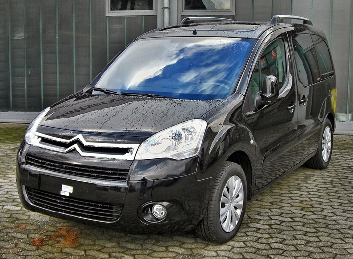 фото №8, Citroen berlingo ii 2 08- лампа ліва перед 9806306180