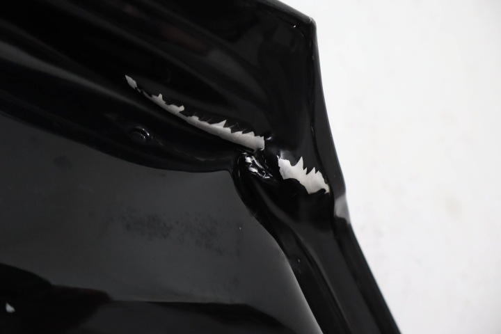 фото №9, Капот кришка двигуна bmw x5 g05 x6 g06 2018-