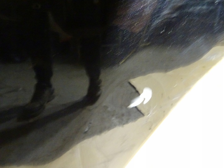 фото №2, Audi q5 8r двері ліві лівий зад задні