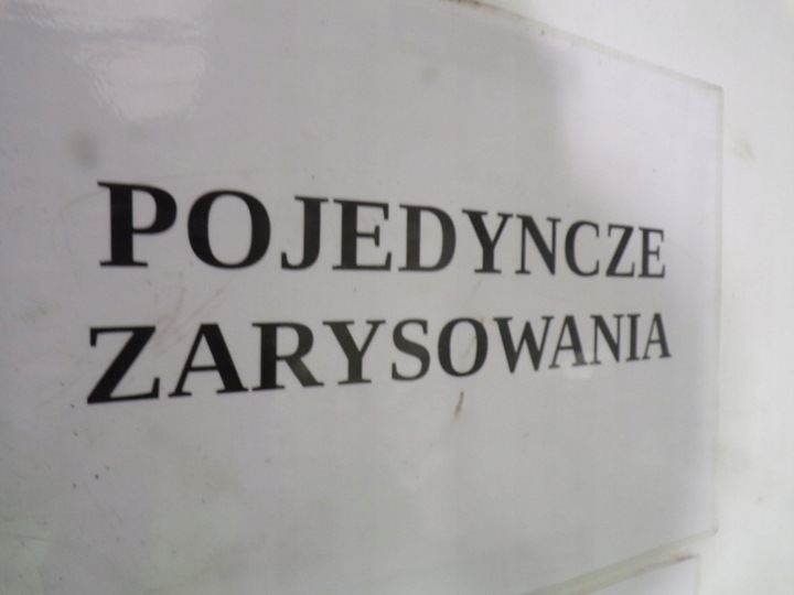 фото №11, Seat altea задняя крышка багажника ls9n