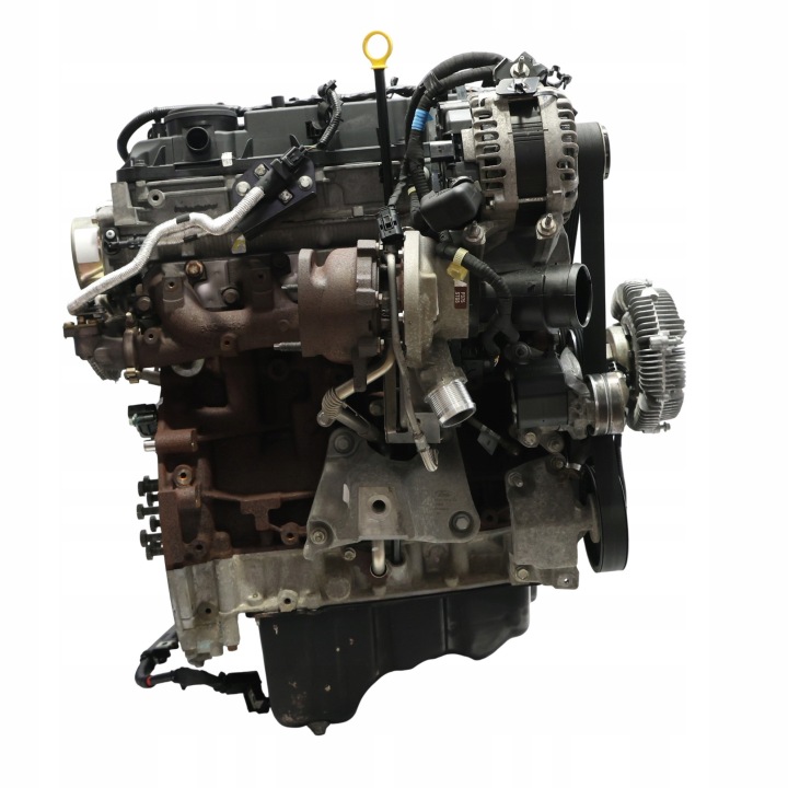 фото №13, Ford ranger tke iii двигун голий стійка gbvajqj 2.2 tdci дизель