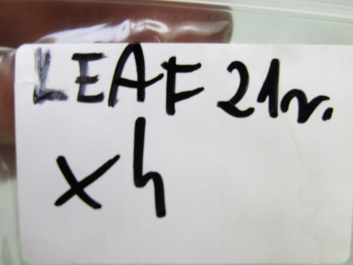фото №11, Leaf ii ze1 21r датчик удара ударный 988305ra0a 98830 5ra0a