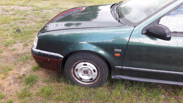 фото №6, Скло двері ліва renault 19