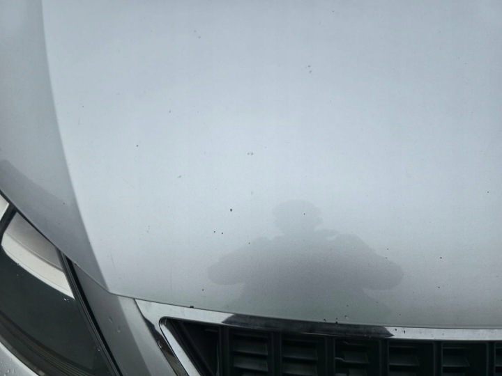 фото №6, Seat alhambra ii капот кришка двигуна [la7w]