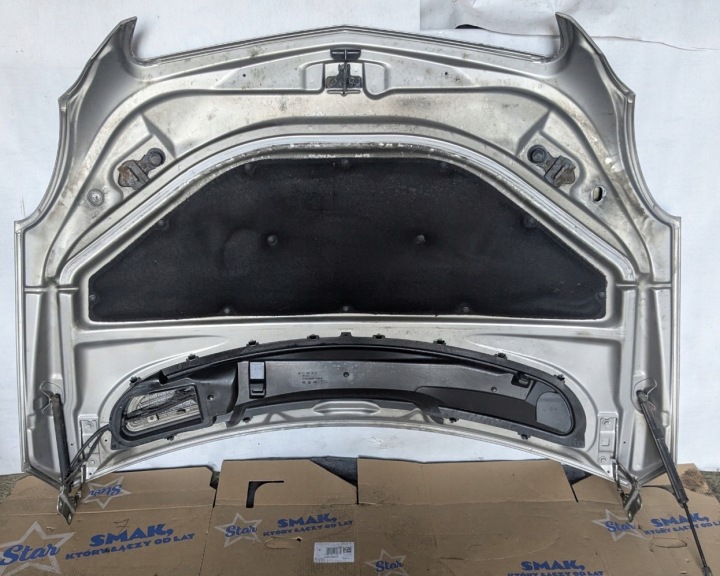 фото №10, Капот + петлі + шумоізоляція 723 mercedes r w251 v251 лак: c723