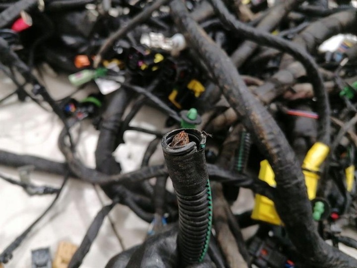 фото №14, Ferrari roma f169 проводка loom rhd основний harness