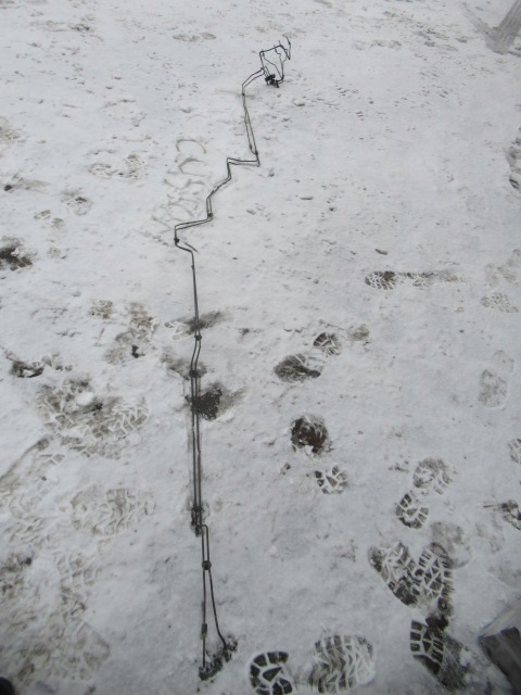 фото №1, Ford custom шланг тормозной