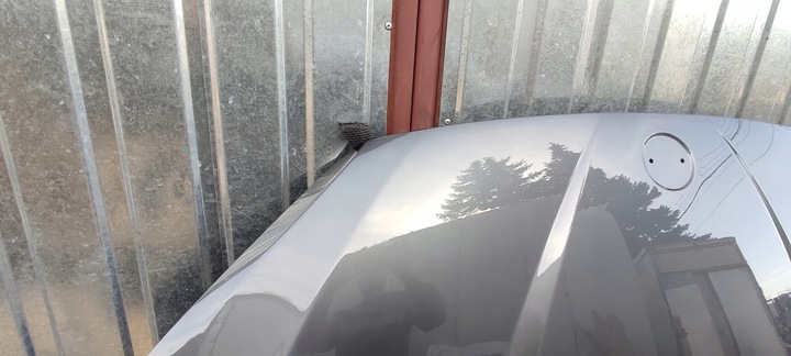 фото №9, Капот сталевий кришка bmw x1 e84 09.09-08.15r лак a52 spacegrau