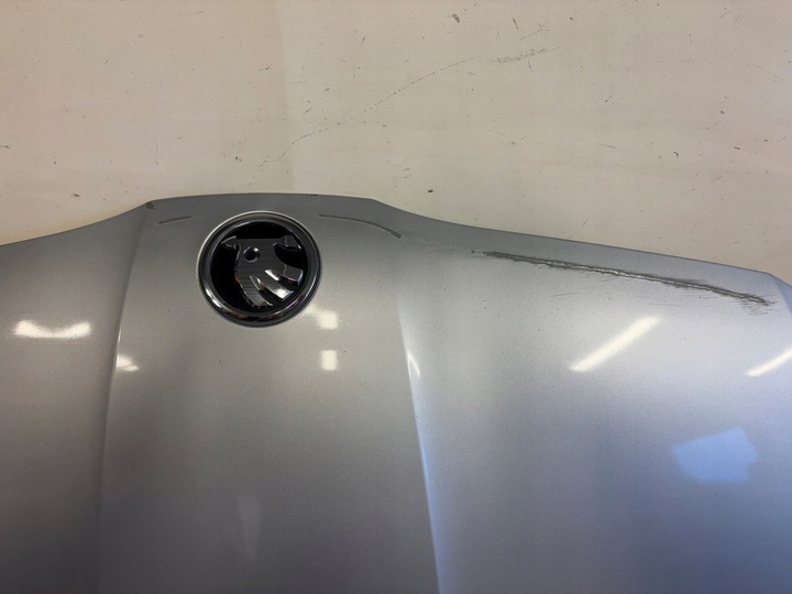 фото №10, Skoda octavia iv 4 5e4 5e3 20- капот кришка двигуна перед