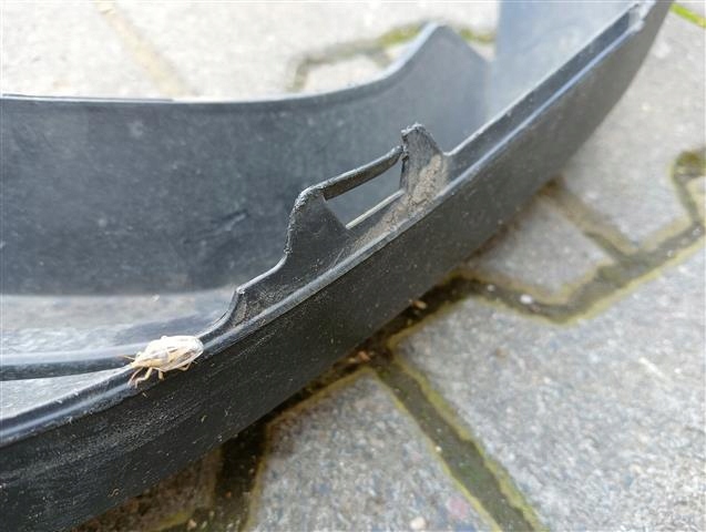 фото №11, M1 ford focus iv mk4 st line накладка бампера ty