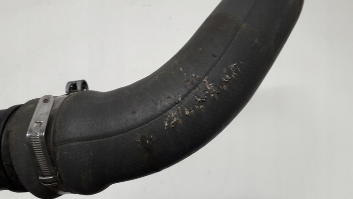 фото №7, Renault dacia труба інтеркулер 144602500r