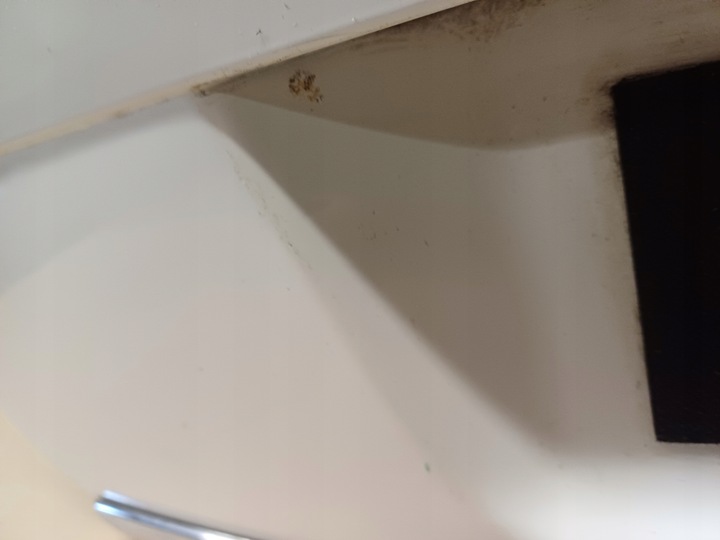 фото №13, Крышка багажника vw passat b6 цвет lb9a