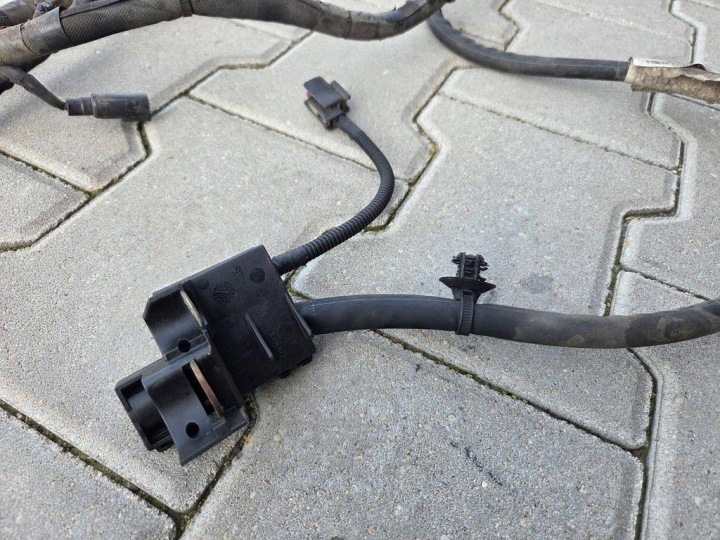 фото №10, Джгут двигуна ford kv6t12c508 1.5l дизель 2019