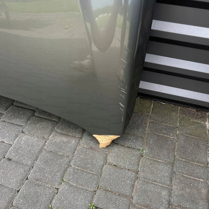 фото №5, Lexus nx капот крышка двигателя