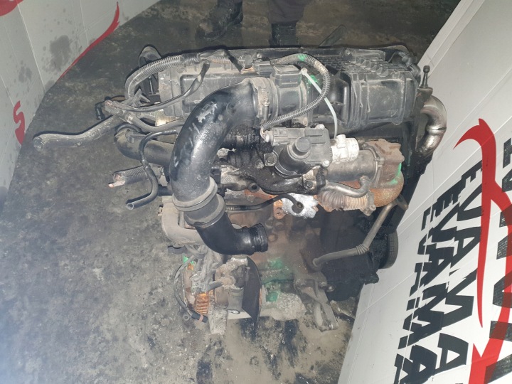 фото №7, Двигатель голый стойка renault thalia 1.5 dci k9k714
