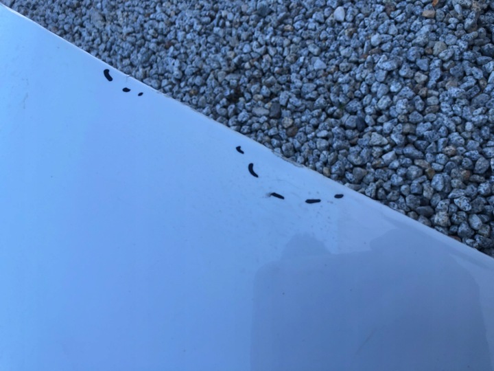 фото №9, Крыло перед переднее левый audi a6 c7 4g 4g0 11-18