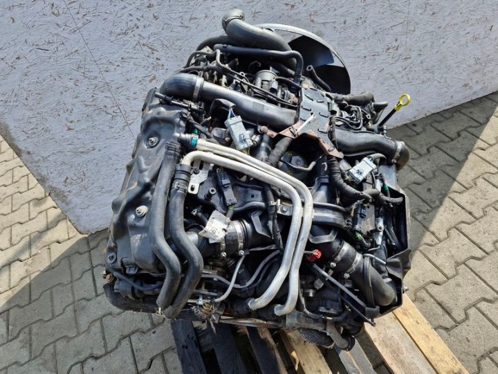 фото №15, Range rover l322 3.6 td v8 двигатель стойка 368dt