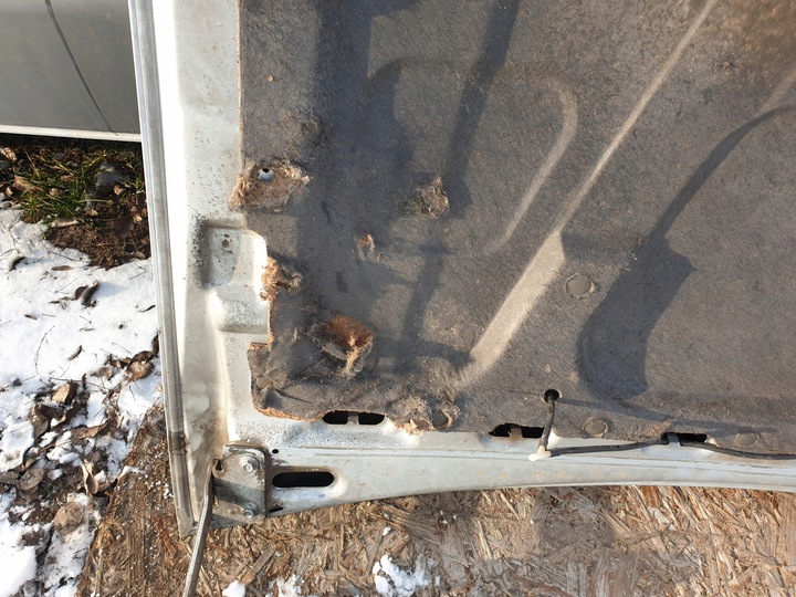 фото №8, Капот кришка двигуна kia sportage grand i