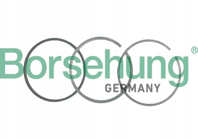 фото №1, Кільця поршень do seat leon 1.8 tsi 2.0