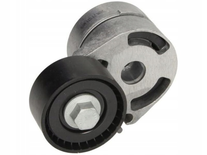 фото №3, Натяжитель ремень многозубчастого ina 534018010