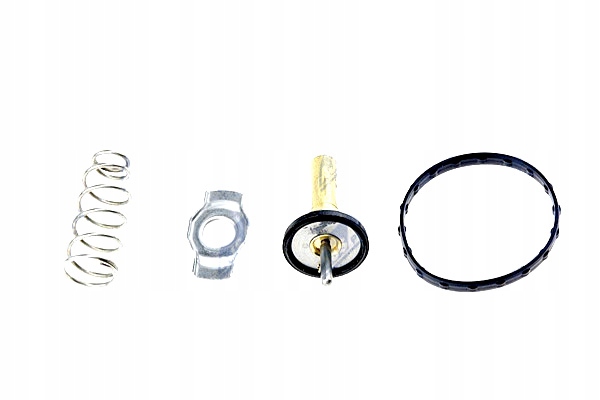 фото №7, Термостат smart fortwo 1.0 07- nty