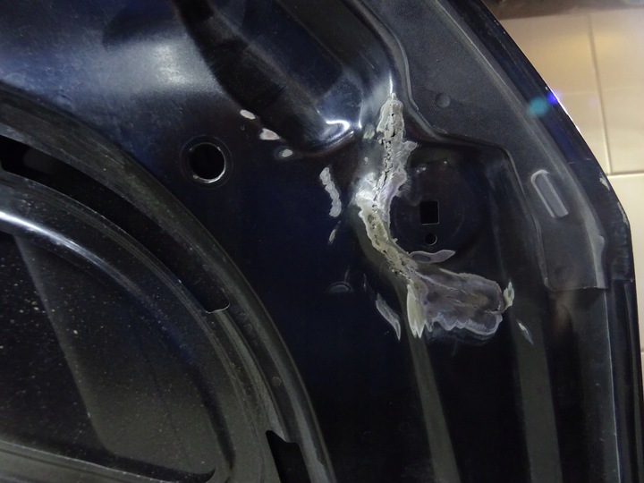 фото №11, Капот крышка двигателя audi a4 8w0 8w0823029