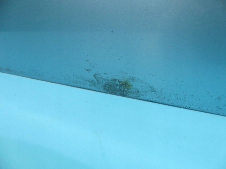 фото №10, Двері перед ліві nissan micra k10 3d блакитний