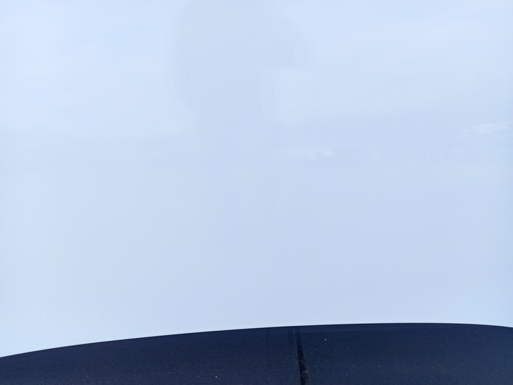 фото №6, Капот крышка двигателя opel vectra c рестайлинг signum цвет z474 05-08