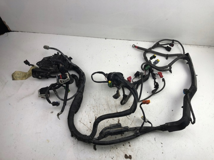 фото №10, Ford fiesta mk7 жгут двигателя 8v5t12a522