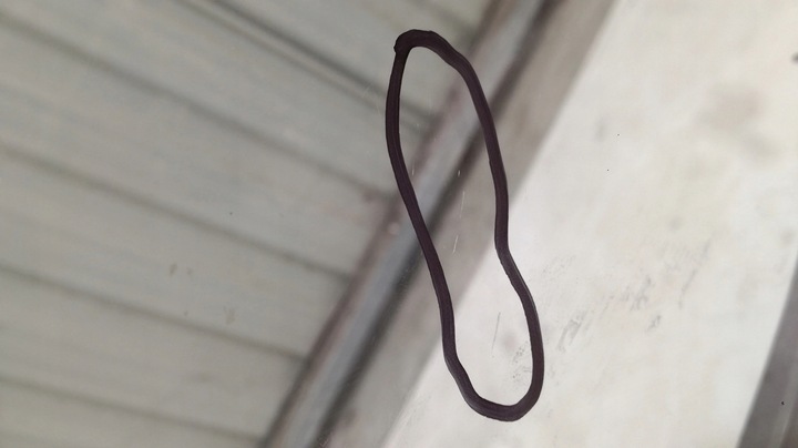 фото №6, Audi a5 8w cabrio скло правий зад 8w7845298b