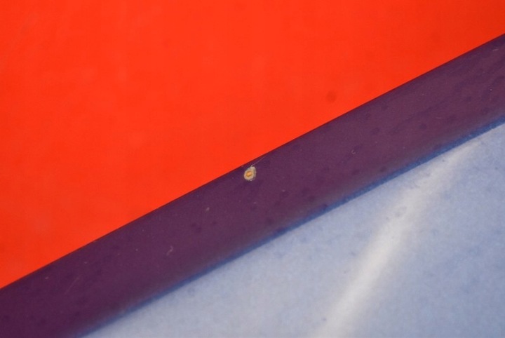 фото №6, Крыло левый перед переднее тёмно-синий daewoo lacetti 2 ii 04-13