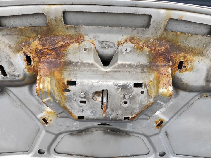 фото №3, Ford c-max mk2, grand - капот