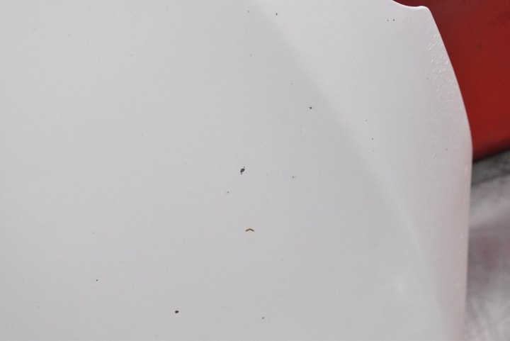 фото №9, Капот кришка двигуна білий peugeot 208 1 i рестайлінг 15-19