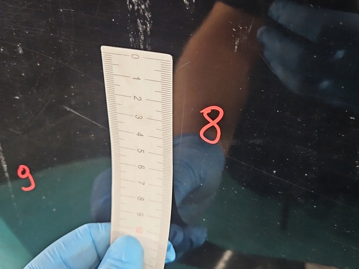 фото №13, Двері зад праві toyota rav4 iii 05-08 чорний 202