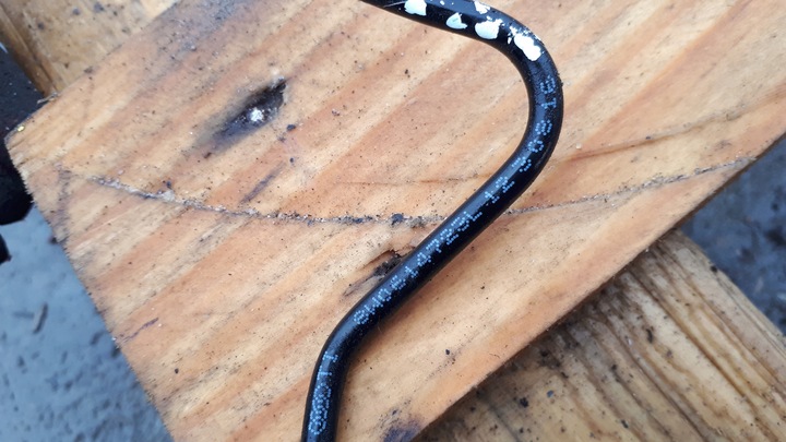 фото №9, A4 b9 8w шланг насоса тормозной abs a5 8w