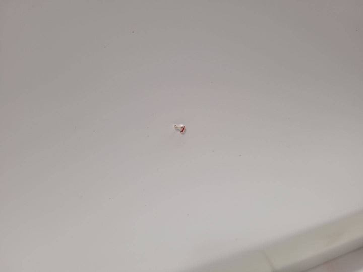 фото №12, Дверь перед левая сторона alfa romeo stelvio 2017