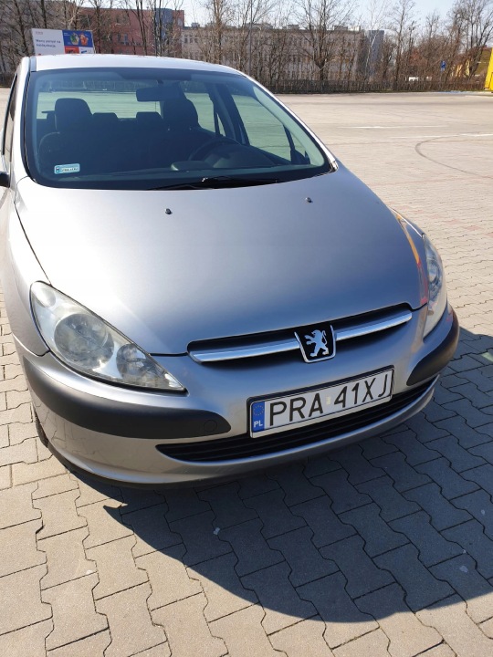 фото №16, Peugeot 307 sw hb планки na решётка хром хромированные
