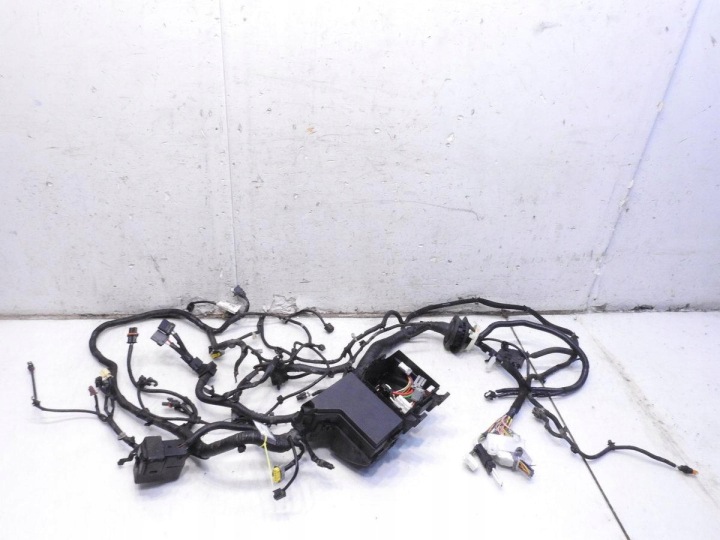 фото №11, Джгут установка камери двигуна nissan qashqai i j10 2.0 dci 24012jd13d