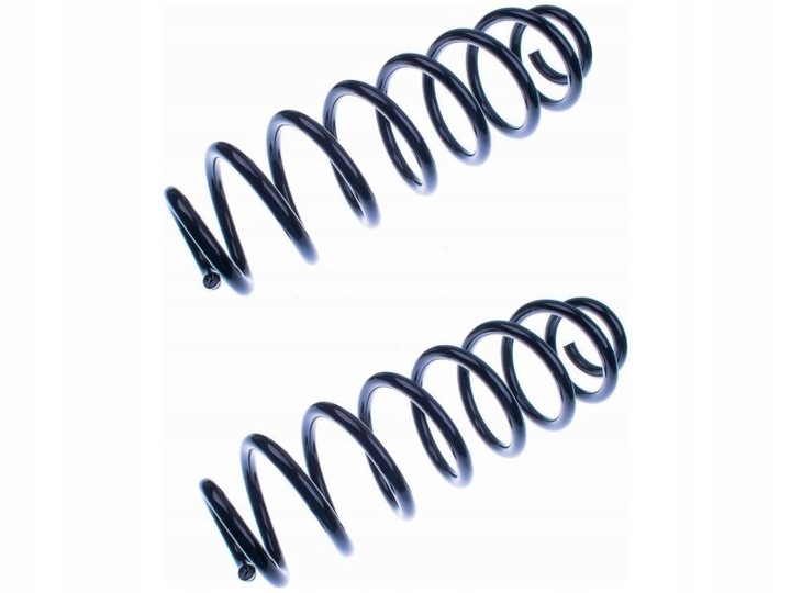 фото №1, Пружины зад denckermann d700309