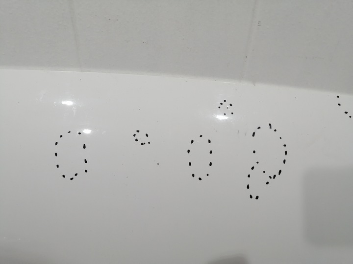 фото №5, Капот vw transporter t6 hal 8563