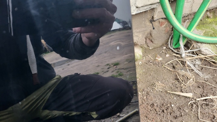 фото №4, Forester iii sh 2008 двері передні ліві