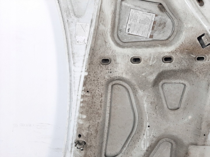 фото №13, Renault kangoo експрес рестайлінг 05r капот код 0389