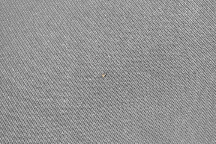 фото №7, Стеля чорна стійки ручки захисні накладки 96767530ze citroen ds4 10-16