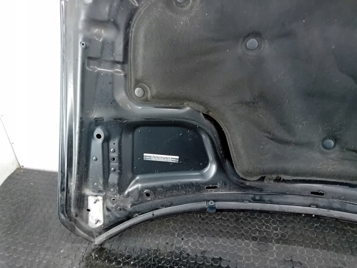 фото №15, Капот infiniti ex37 l50