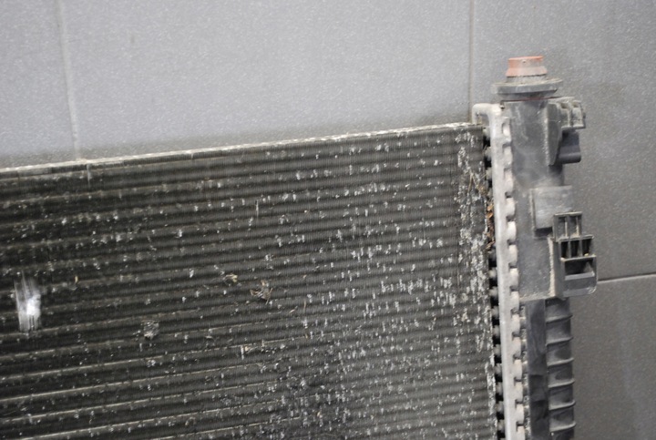 фото №9, Радиаторов воды mercedes 1.5b w169 a1695000503