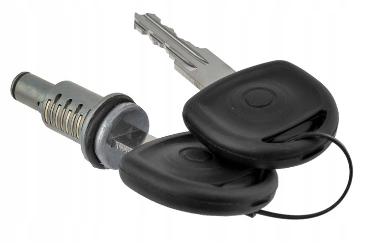 фото №2, Вставка замка двері nty ezc-pl-121